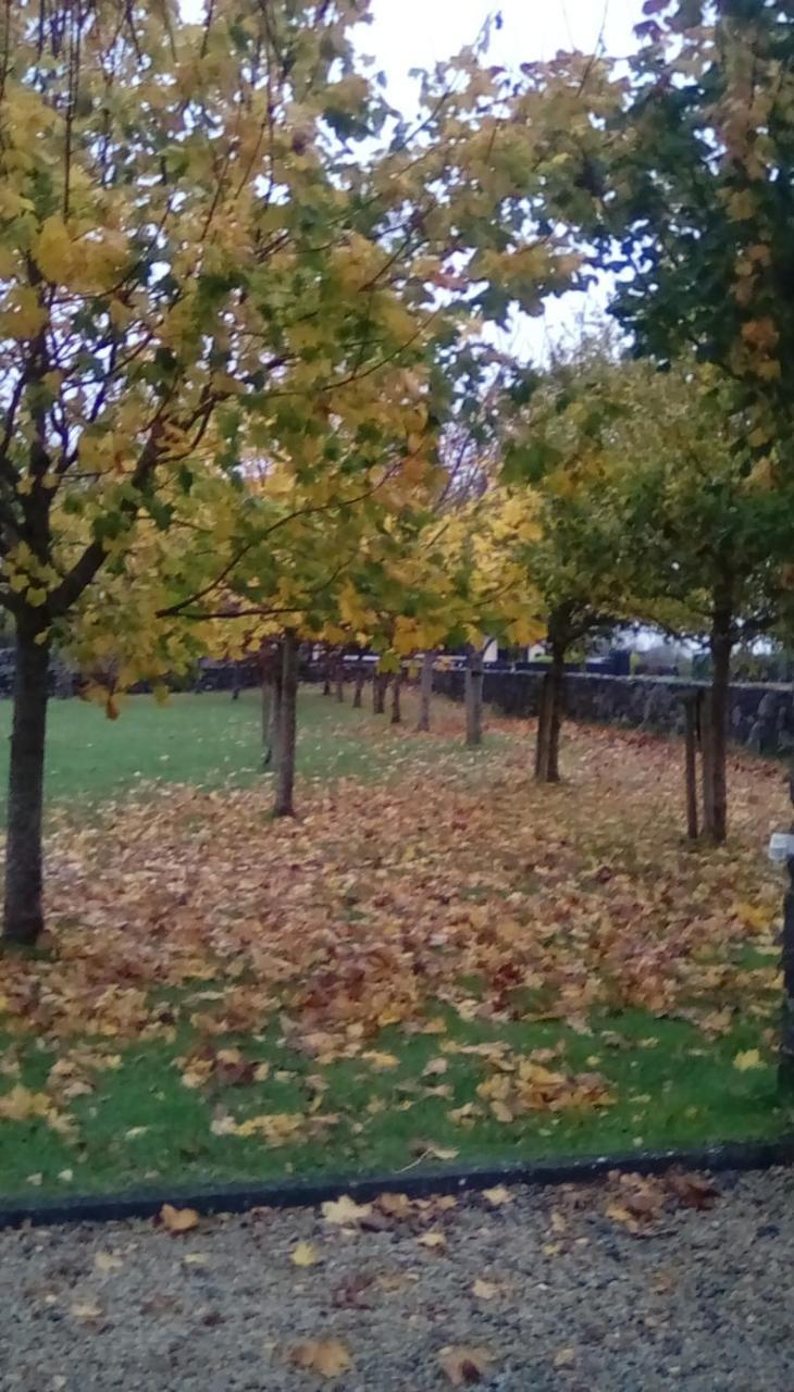 Ashford Haven B&B Конг Экстерьер фото