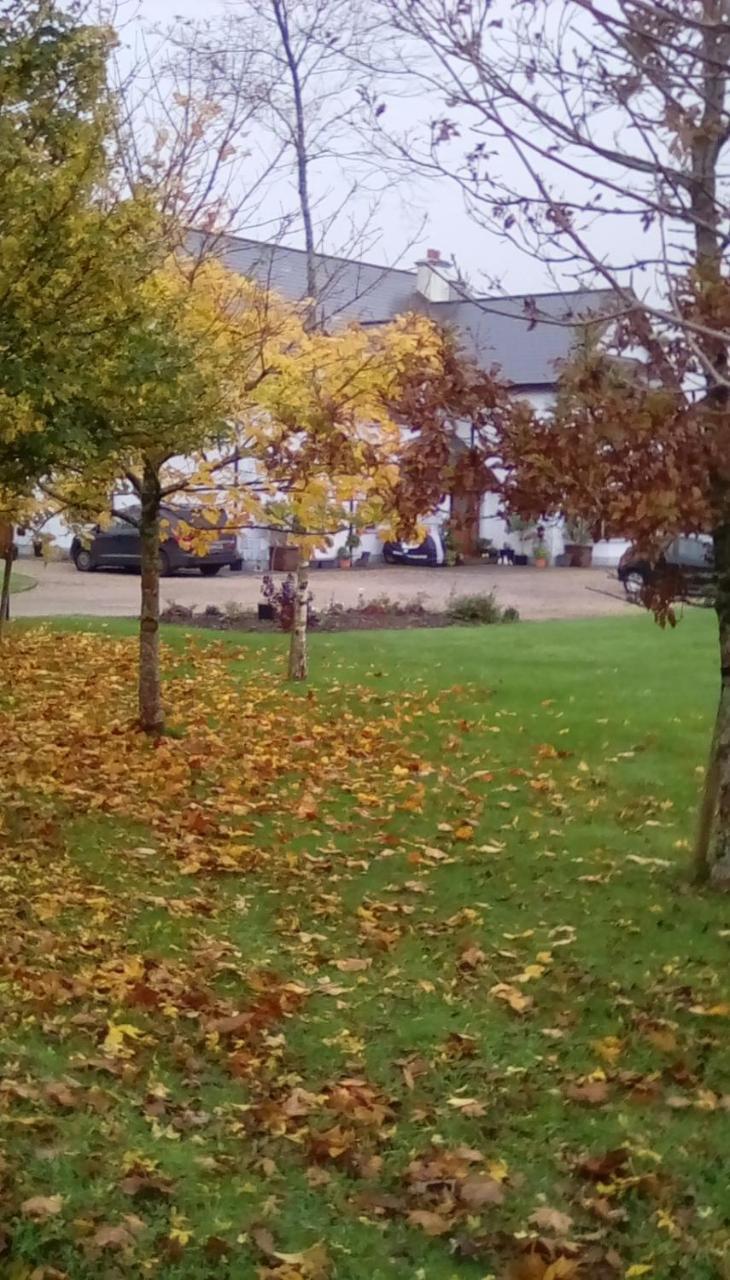 Ashford Haven B&B Конг Экстерьер фото